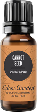 Edens Garden Carrot Seed Essential Oil- 100% Pure Premium Grade, Therapeutic by EdensGarden