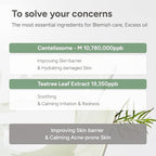 SUNGBOON EDITOR Deep Collagen CICA Teatree Overnight mask, Real Collagen 2 - Image 4