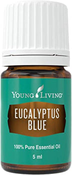 Young Living Eucalyptus Blue Essential Oil | 5 ml | Premium, Invigorating by YoungLiving