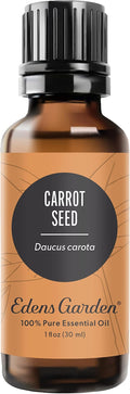 Edens Garden Carrot Seed Essential Oil- 100% Pure Premium Grade, Therapeutic by EdensGarden