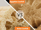 Whole Egyptian Jumbo Loofah 24"" - Image 6