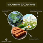 Colonial Candle Soothing Eucalyptus Wax Melts, Wax Melt Warmer Cubes, Long - Image 2