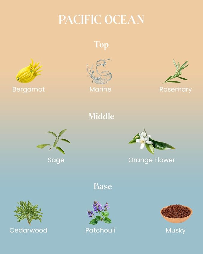 M&SENSE Summer Ocean Scented Candles - Image 2