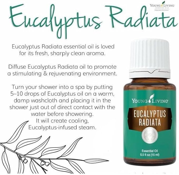 Eucalyptus Radiata Essential Oil 15ml by Young Living Essential Oils - Image 6