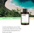 Scentify Bali Aroma Oil Refill Scent - Image 4