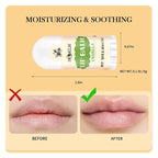 Mini Lip Balm 25 Pack, Natural Lip Balms - Image 4