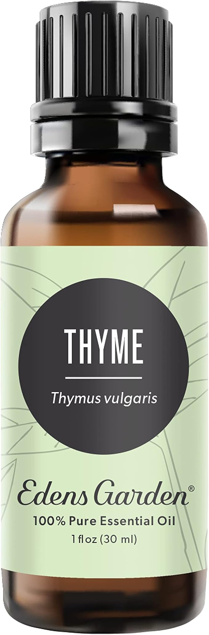Edens Garden Thyme Essential Oil- 100% Pure Premium Grade, Therapeutic by EdensGarden