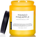 M&SENSE Mango Pineapple Scented Candle, 19.4oz Non Toxic Natural Soy Wax 110 by MSENSE