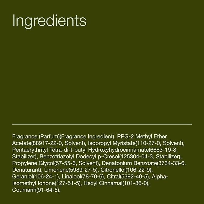 Bath & Body Works Wallflowers Refills, Eucalyptus Spearmint Scent, Plug-In Air - Image 6