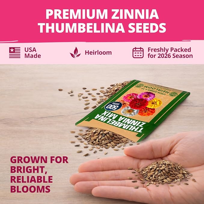 HOME GROWN Thumbelina Zinnia Seeds – 500 Dwarf Zinnia - Image 7