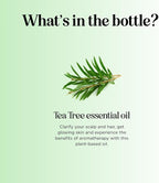 Pure Tea Tree Oil for Hair Skin and Nails - Image 7
