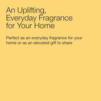 Bath & Body Works 3-Wick Candle, Sweet Orange & Agave Citrus Candle, Strong - Image 7