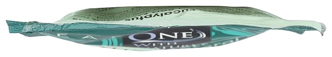 ONE WITH NATURE Eucalyptus Dead Sea Bath Salt Packet, 2.5 OZ - Image 4