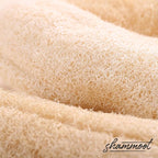 Natural Loofah Exfoliating Body Scrubber – Jordanian Natural Loofah Sponge - Image 3
