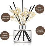 COCODOR Preserved Flower Reed Diffuser/Freesia&Pear/6.7oz/1Pack / Home - Image 3