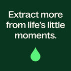 Plant Therapy USDA Certified Organic Cinnamon Cassia Essential Oil 10 mL 100% - Image 7