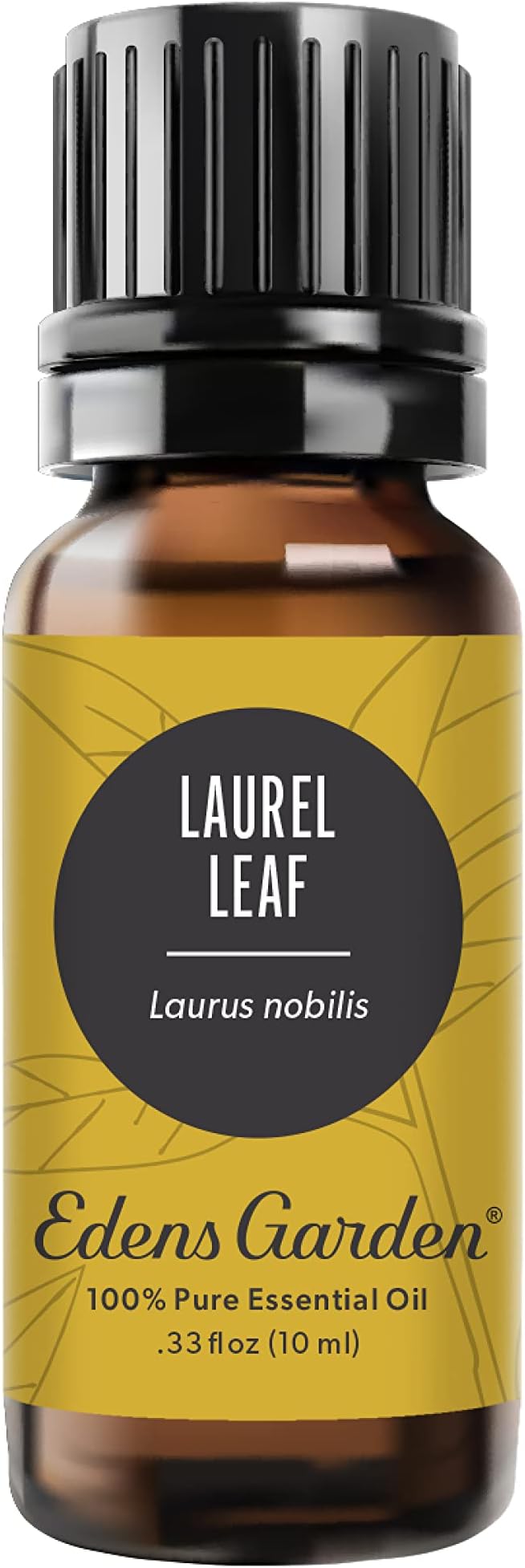 Edens Garden Laurel Leaf Essential Oil- 100% Pure Premium Grade, Therapeutic by EdensGarden