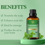 Peppermint Essential Oil | USDA Certified Organic Peppermint Oil | - Image 6