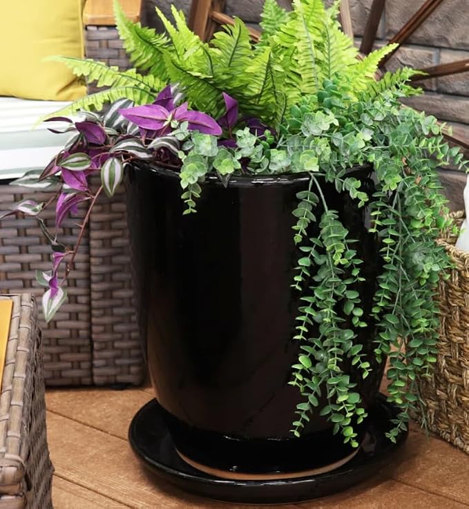 2 Pack Black Ceramic 8 Inch Round Saucer, Plant Tray - Image 3