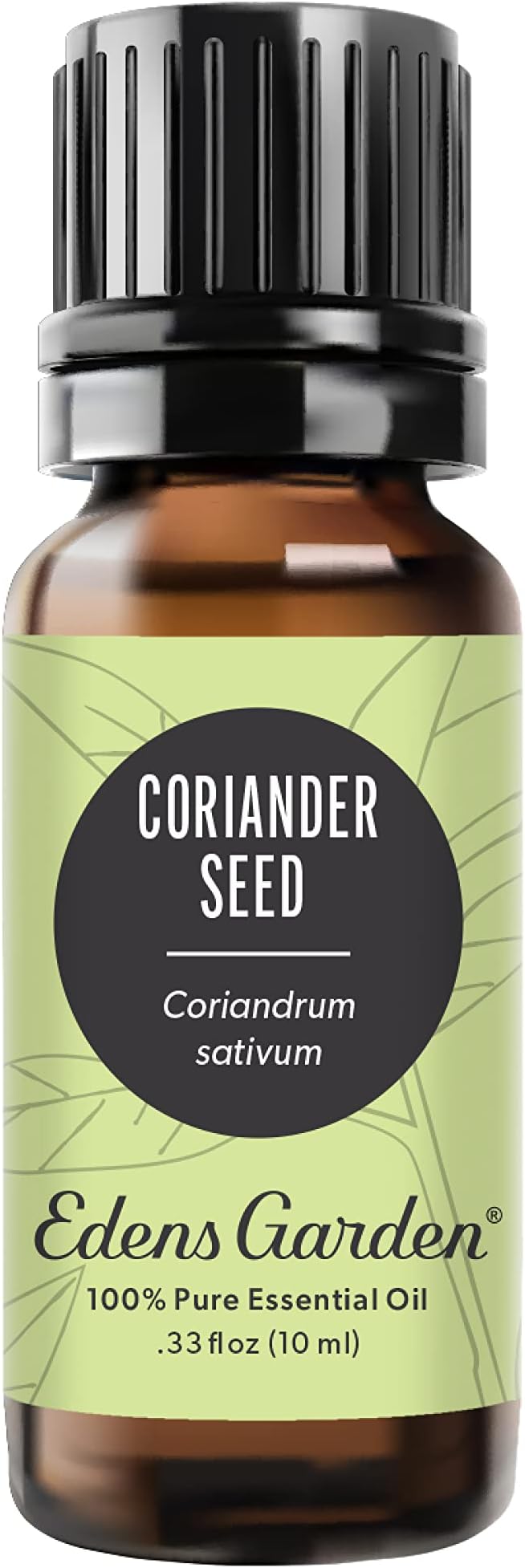 Edens Garden Coriander Seed Essential Oil- 100% Pure Premium Grade, Therapeutic by EdensGarden
