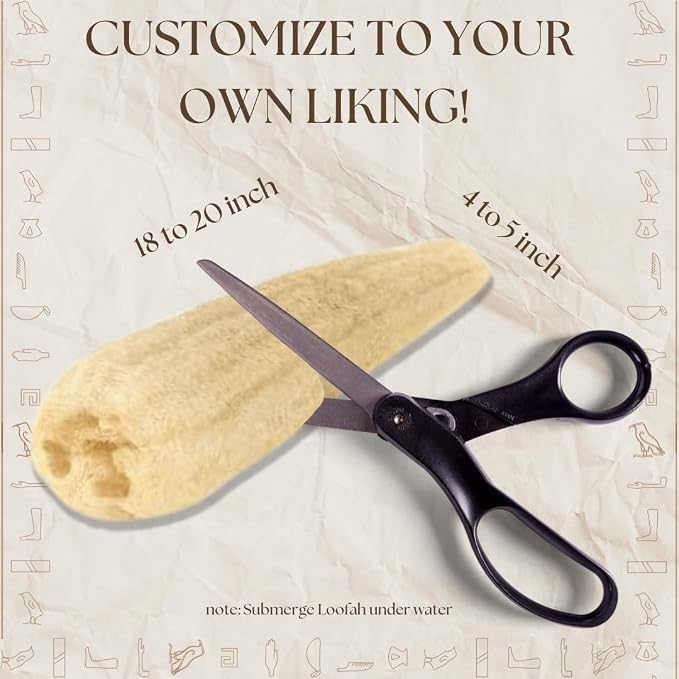 One Whole Egyptian Loofah 100% Natural SPA Beauty Bath Sponge Body Scrubber - Image 6