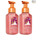 Bath & Body Works, Gentle Foaming Hand Soap, Twisted Peppermint by BathBodyWorks