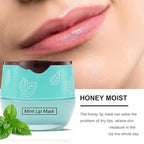 5PCS Bee Lip Balm Honey Pot，Peach&Grape&Aloe&Coconut&Watermelon Lip Mask - Image 7
