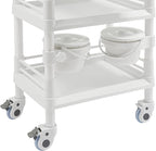Salon Storage Cart, 3 Tier Rolling Beauty Organizer - Image 5