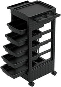 Salon Trolley Cart with Wheels & 5 Drawers, Salon Rolling Stations by Roixeeds