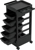 Salon Trolley Cart with Wheels & 5 Drawers, Salon Rolling Stations by Roixeeds