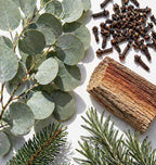 Plant-Based Odor Eliminator Spray – Natural Essential Oil Air Freshener - Image 4