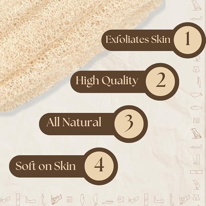 One Whole Egyptian Loofah 100% Natural SPA Beauty Bath Sponge Body Scrubber - Image 3