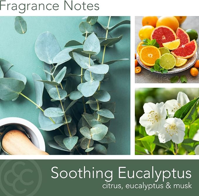 Carolina Soothing Eucalyptus Scented Candle, 16 oz Wellness Relaxing - Image 2