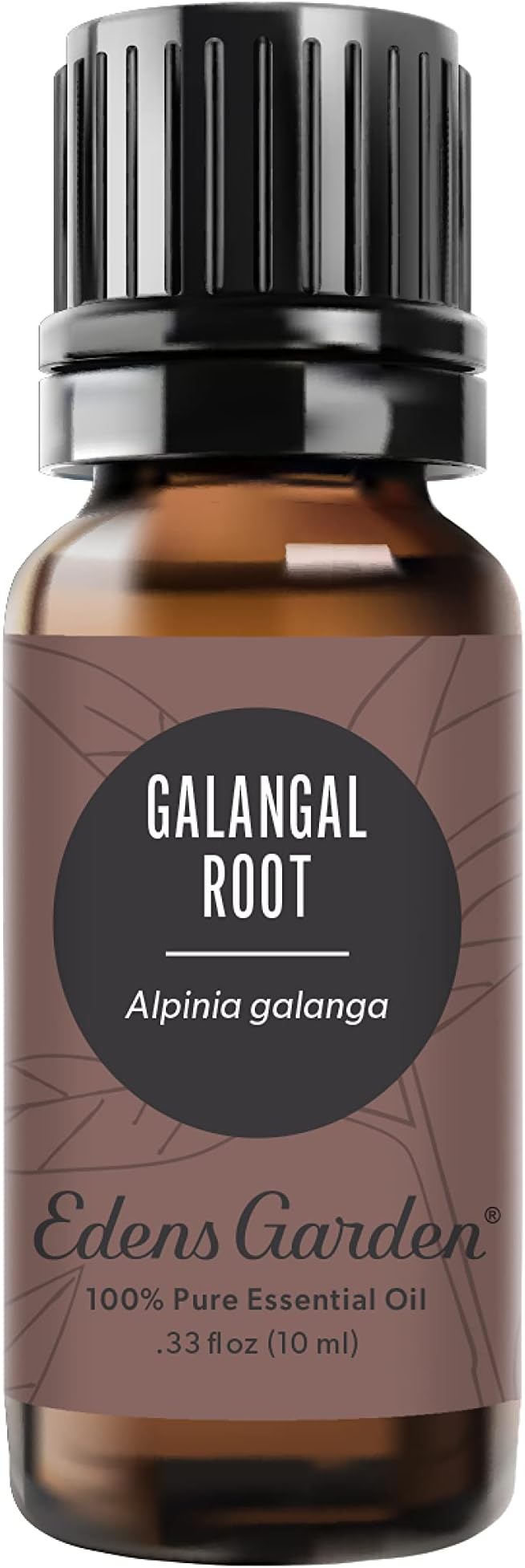 Edens Garden Galangal Root Essential Oil- 100% Pure Premium Grade, Therapeutic by EdensGarden