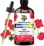 Geranium Essential Oil by GV77ZFESSENTIALOILBUYNOW
