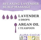 Aura Cacia Discover Essential Oils Kit, Eucalyptus, Peppermint & Tea Tree Oils - Image 4