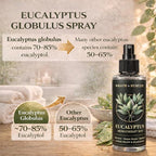 Eucalyptus Shower Spray Aromatherapy — 700+ Sprays, USDA Organic 100% Pure - Image 4