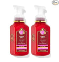 Bath & Body Works Bath and Body Works Pumpkin Apple Gentle Foaming Hand Soap by BathBodyWorks