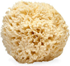 LATHER - Natural Sea Wool Sponge, 4-5" - Organic Exfoliating Body Scrubber - by LATHER