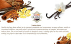 Vanilla Spice Air Freshener - Image 3