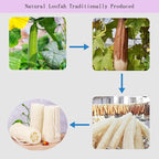 Natural Loofah Exfoliating Body Scrubber, Bath Shower Loofah Sponge - Image 6
