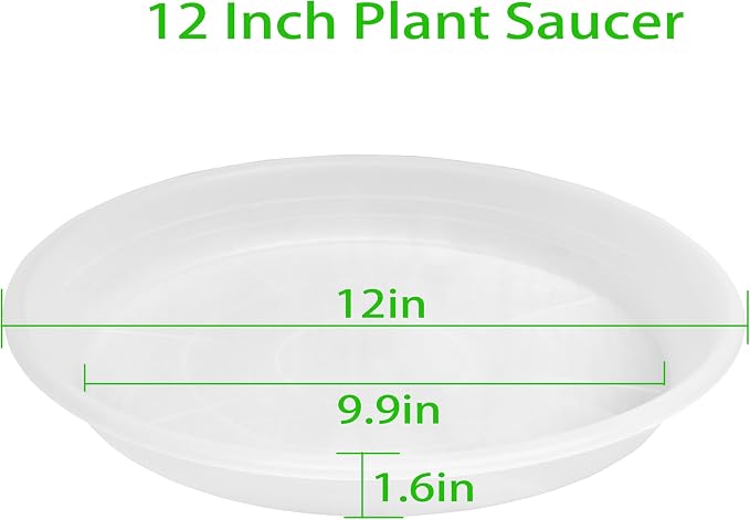 2 Pack of Clear Plant Saucer 12 inch, Heavy Duty Plant Trays - Image 2