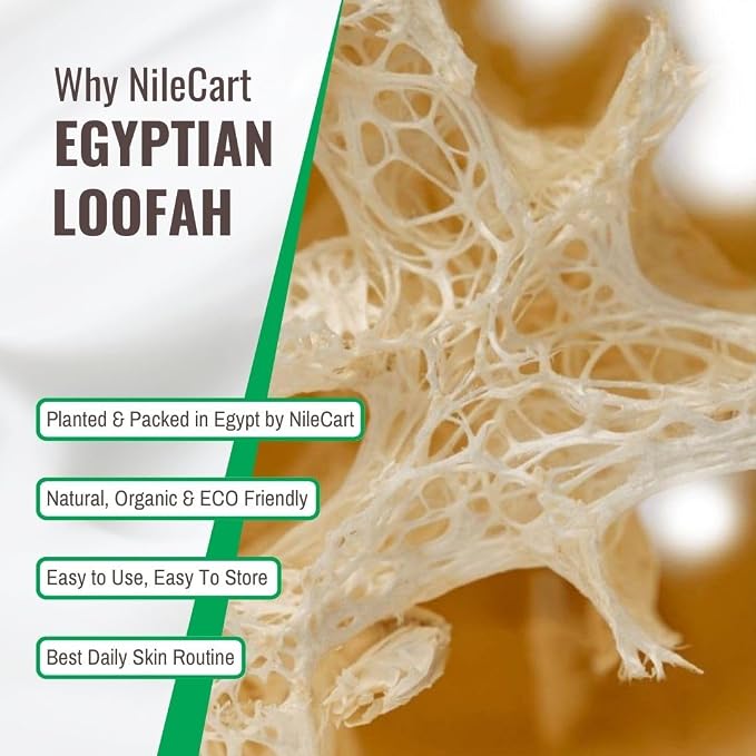 NileCart 22 Inch Egyptian Loofah Natural Luffa Sponges - Image 3