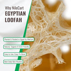 NileCart 22 Inch Egyptian Loofah Natural Luffa Sponges - Image 3