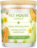 Pet House Candles, Natural Plant-Based, Long Lasting Candles by OneFurAll