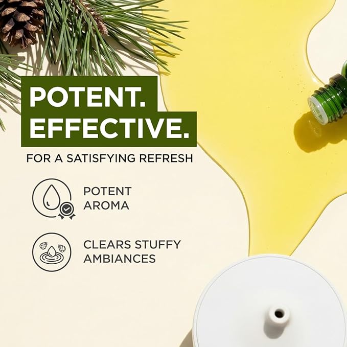 Gya Labs Organic Pine Needle Essential Oil - Image 5