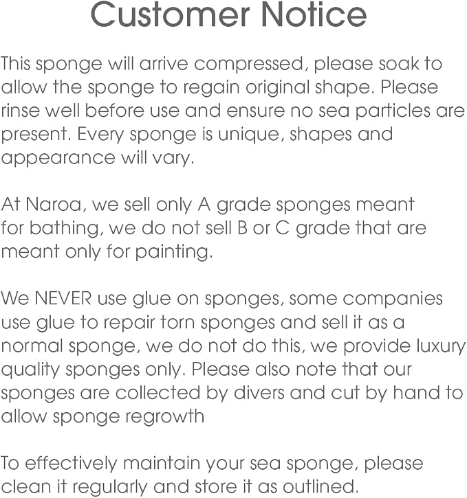 Naroa Soft Natural Sponge Large | Gentle Sea Loofah - Image 7