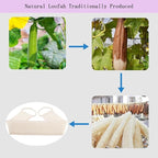 Extra-Long Natural loofah Back Scrubber, Long Back Scrubber - Image 6