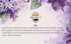 Lilac Room Spray - Image 3