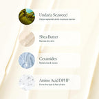 OSEA Undaria Algae™ Body Butter 6.7 oz - Image 6